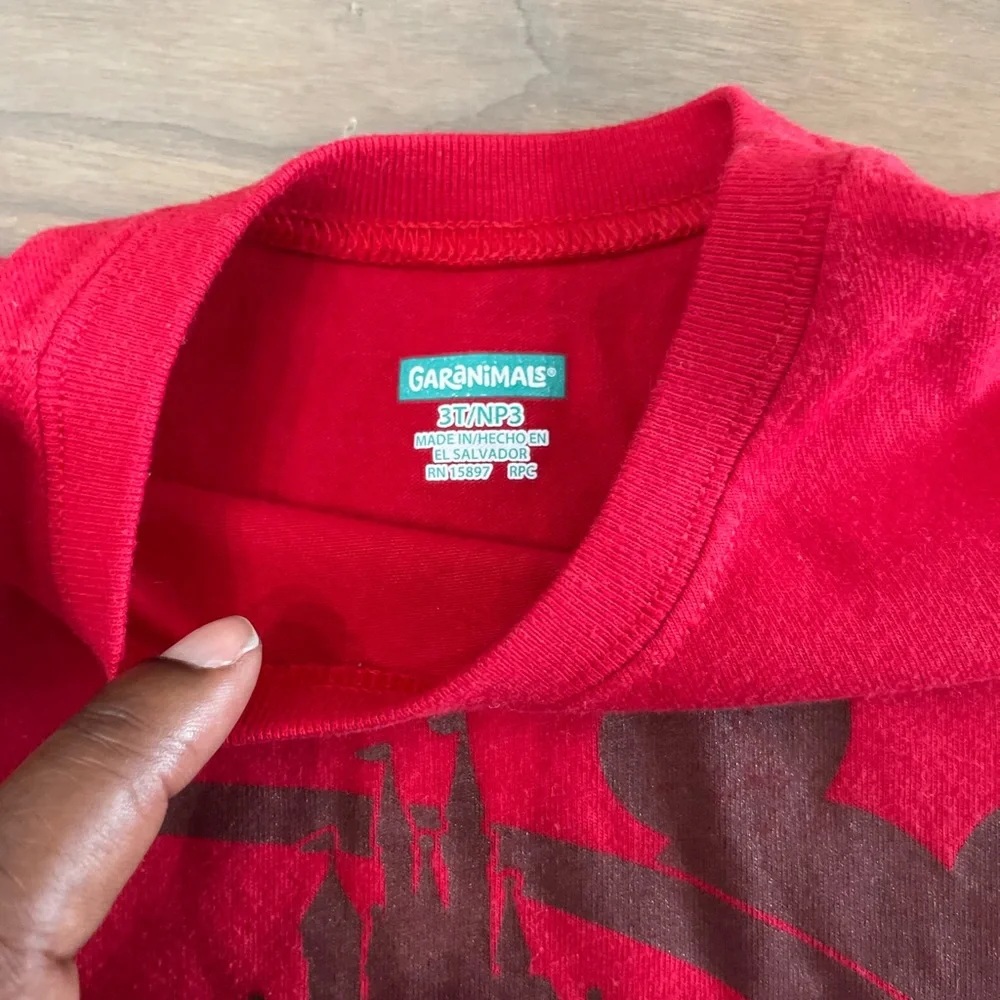 EUC 5 Boys 3T T Shirts - Picture 4 of 10